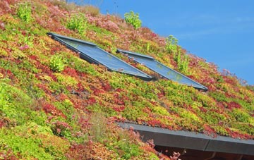 Lamorick living roof systems