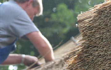 professional Lamorick thatchers